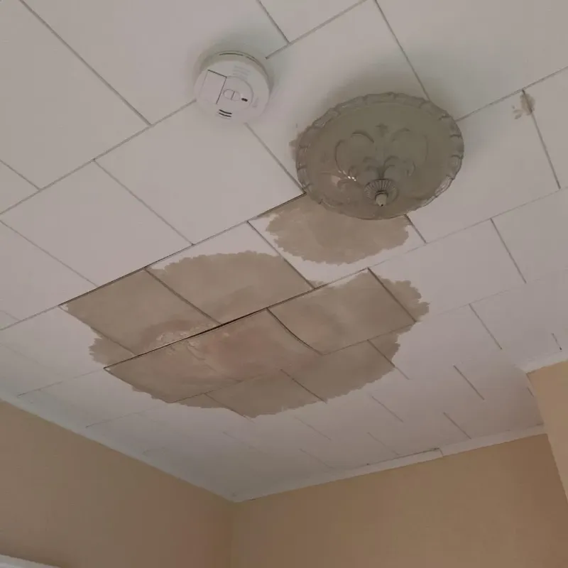 Ceiling Water Damage Repair in East Meadow, NY